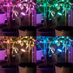 Philips Hue Lily White/Color Startkit Philips Hue Lily White/Color Startkit