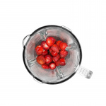 Champion Blender 600W Rostfritt stål Champion Blender 600W Rostfritt stål