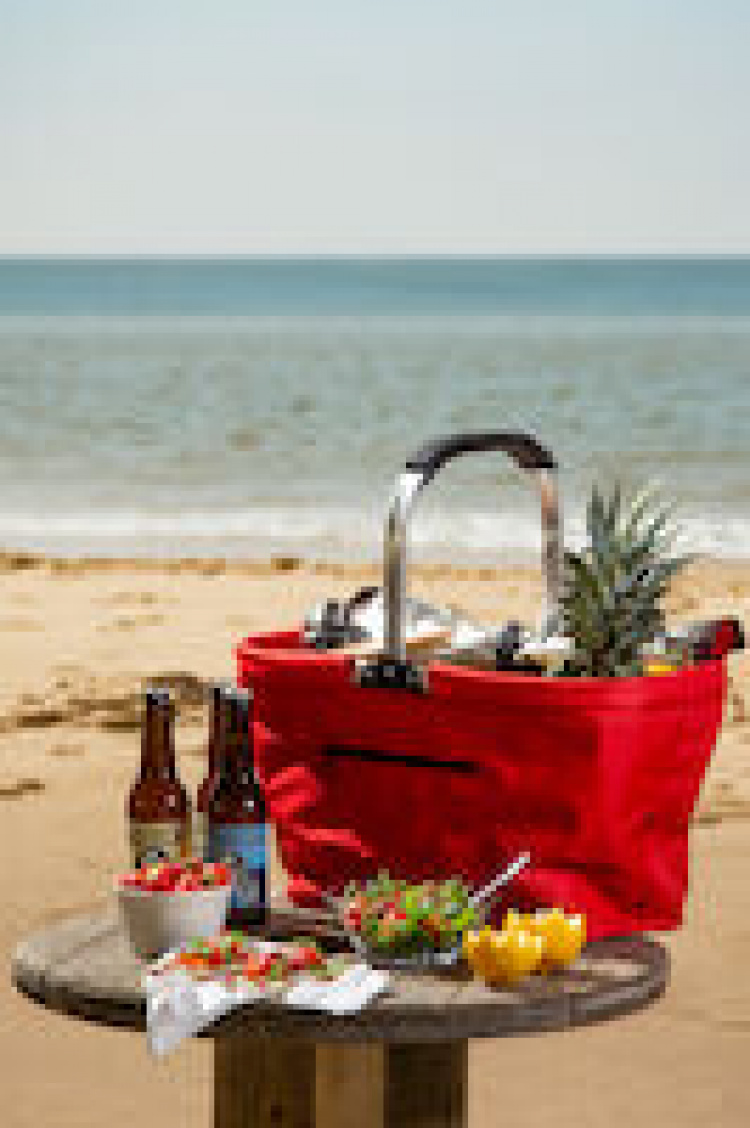 Queen Anne Carry Hopvikbar Kylbag Röd, 30L