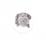 PopSockets PopGrip -pidike, Cat Nap