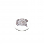 PopSockets PopGrip -pidike, Cat Nap