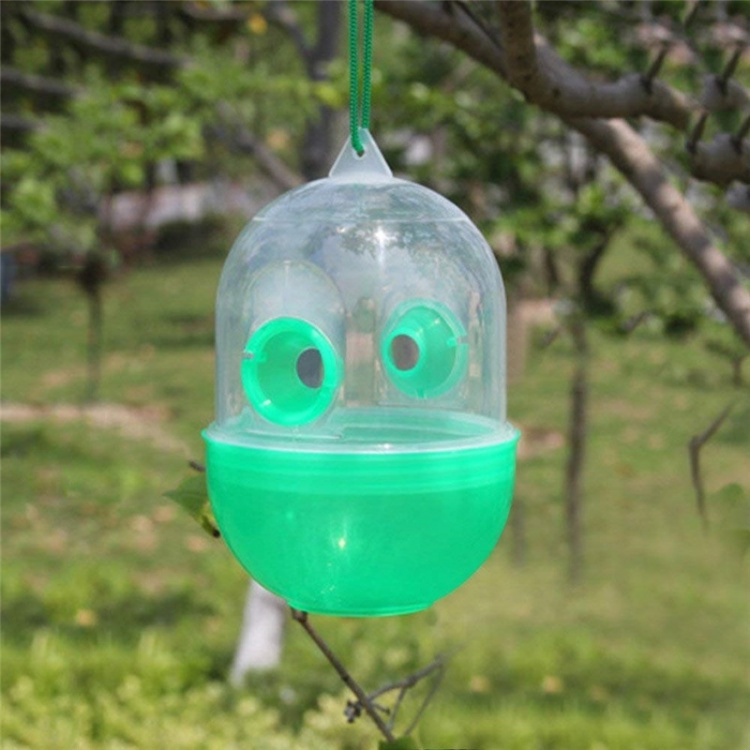 Ampiaisen ansa Ampiaisen ansa