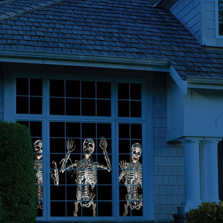 Halloween/Christmas laser projector