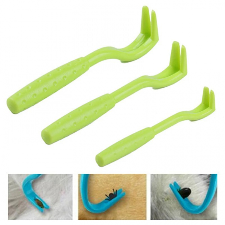 Hyönteisten pyydystäjä eläimille Hyönteisten pyydystäjä eläimille