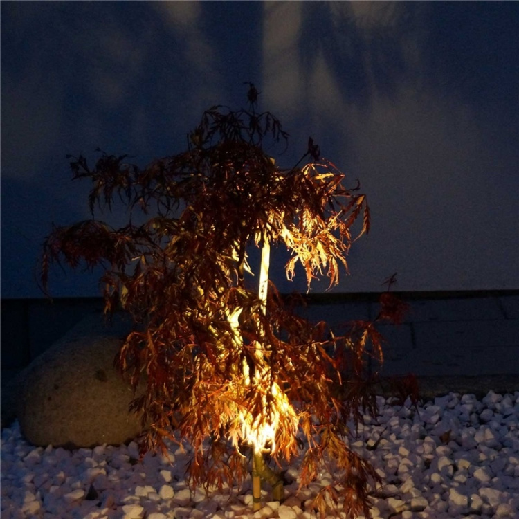 LightsOn Luminus trädgårdsspot Svart