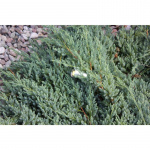 LightsOn Optica trädgårdsspot Aluminium LightsOn Optica trädgårdsspot Aluminium