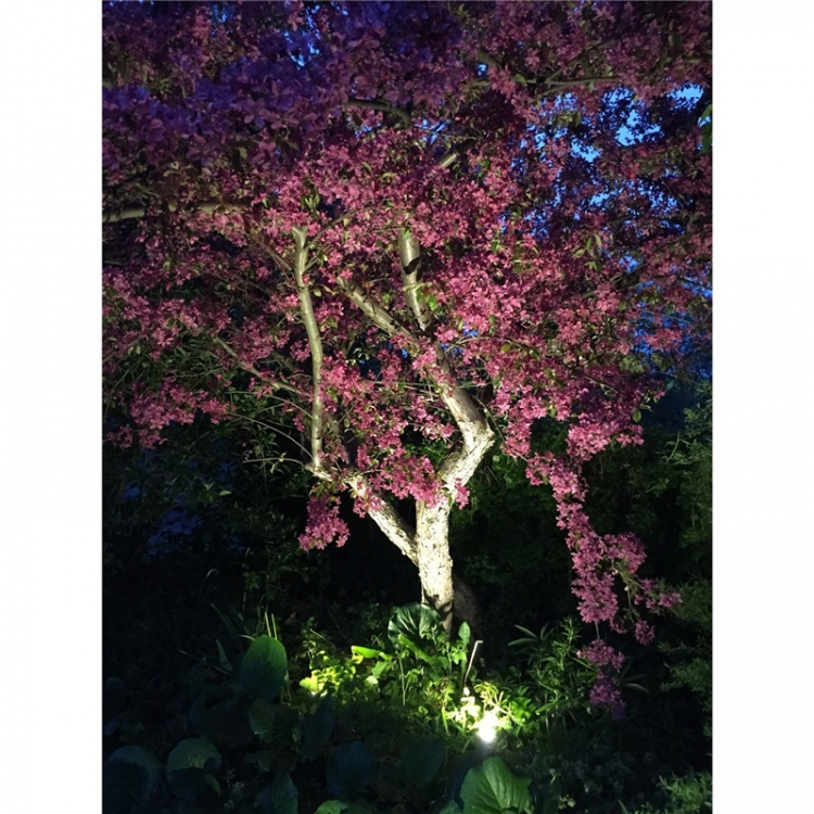 LightsOn Startpaket 2xLuna Transf Kabel