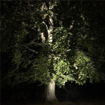 LightsOn Castor In-ground-markspot 1100 LightsOn Castor In-ground-markspot 1100