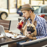 JVC Kuulokkeet HA-A10T True Wireless In-Ear Musta JVC Kuulokkeet HA-A10T True Wireless In-Ear Musta