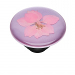 PopSockets Pressed Flower Delphinium Irroitettava Grip Telinetoiminnolla Premium