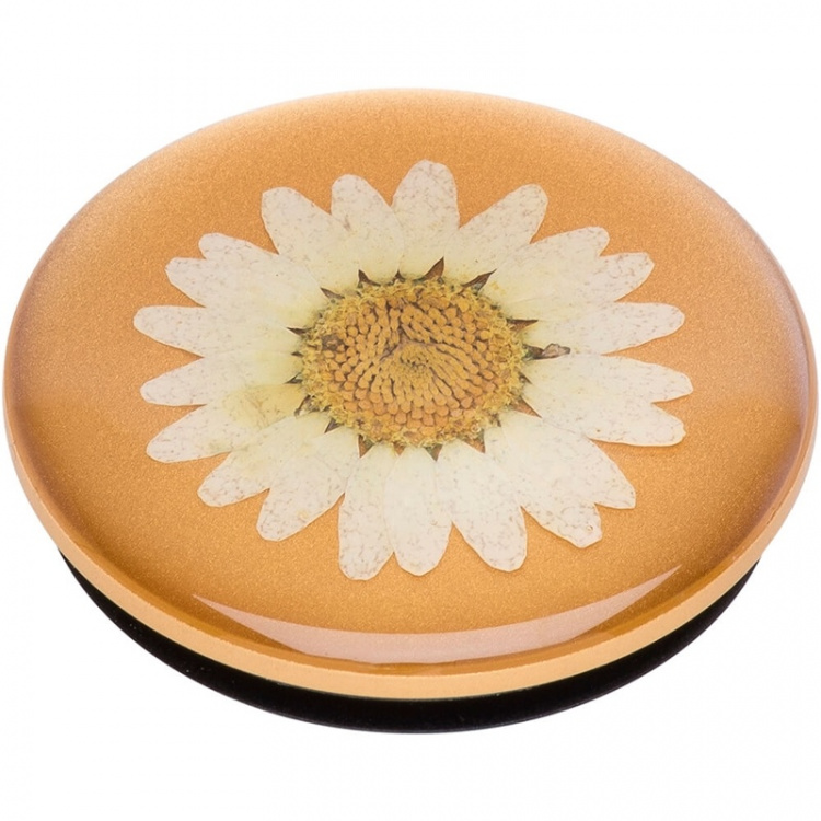 PopSockets Pressed Flower White Daisy Irrotettava Grip Telinetoiminnolla Premium