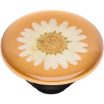 PopSockets Pressed Flower White Daisy Irrotettava Grip Telinetoiminnolla Premium