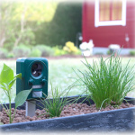 Genius Ideas Universell Solcellsdriven skadedjursbekämpare, Grön