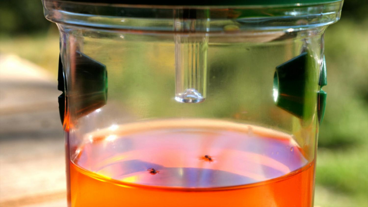 Genius Ideas Aurinkoenergialla toimiva hyönteisloukku Genius Ideas Aurinkoenergialla toimiva hyönteisloukku