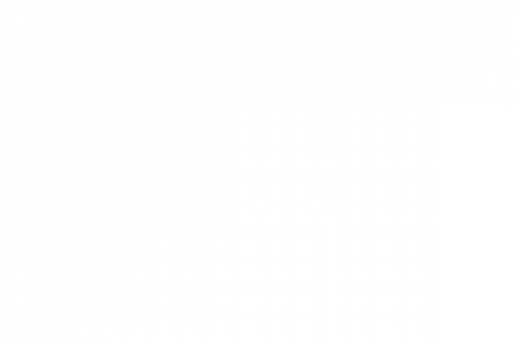 Aluminum Shock Set (4Pcs)