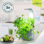 Tregren Kitchen Garden T3 Harmaa