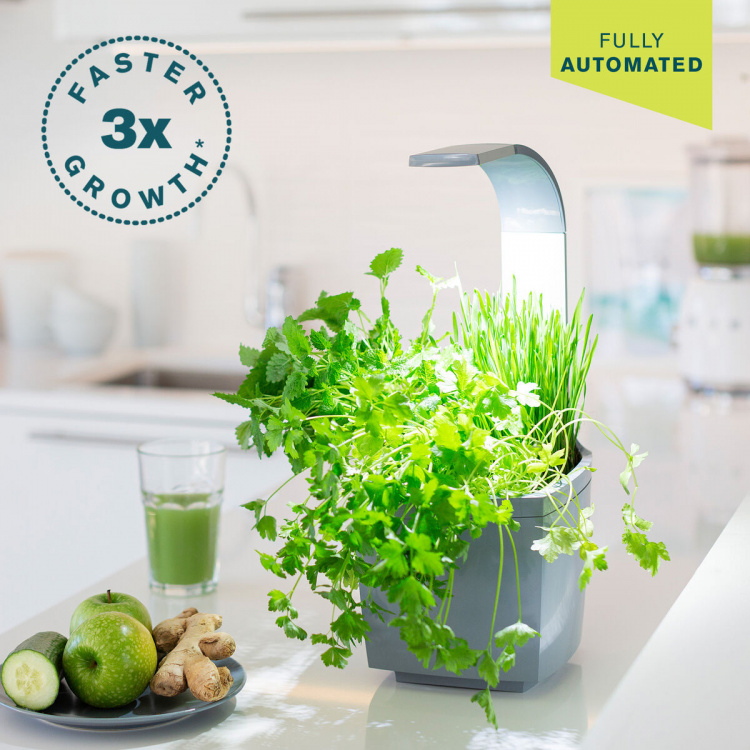 Tregren Kitchen Garden T3 Harmaa