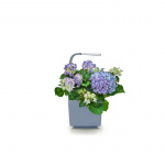 Tregren Kitchen Garden T3 Harmaa