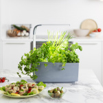 Tregren Kitchen Garden T6 Harmaa