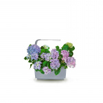 Tregren Kitchen Garden T6 Harmaa