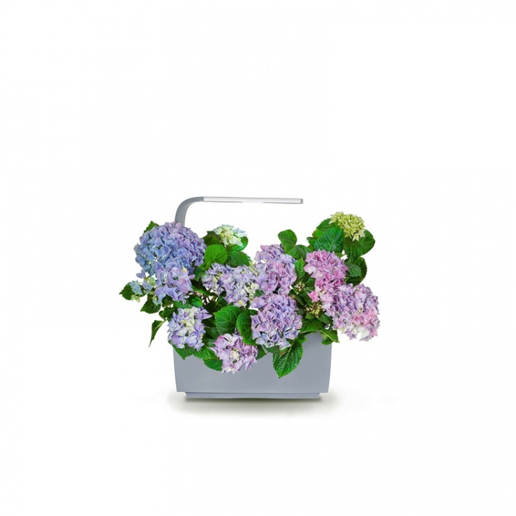 Tregren Kitchen Garden T6 Harmaa