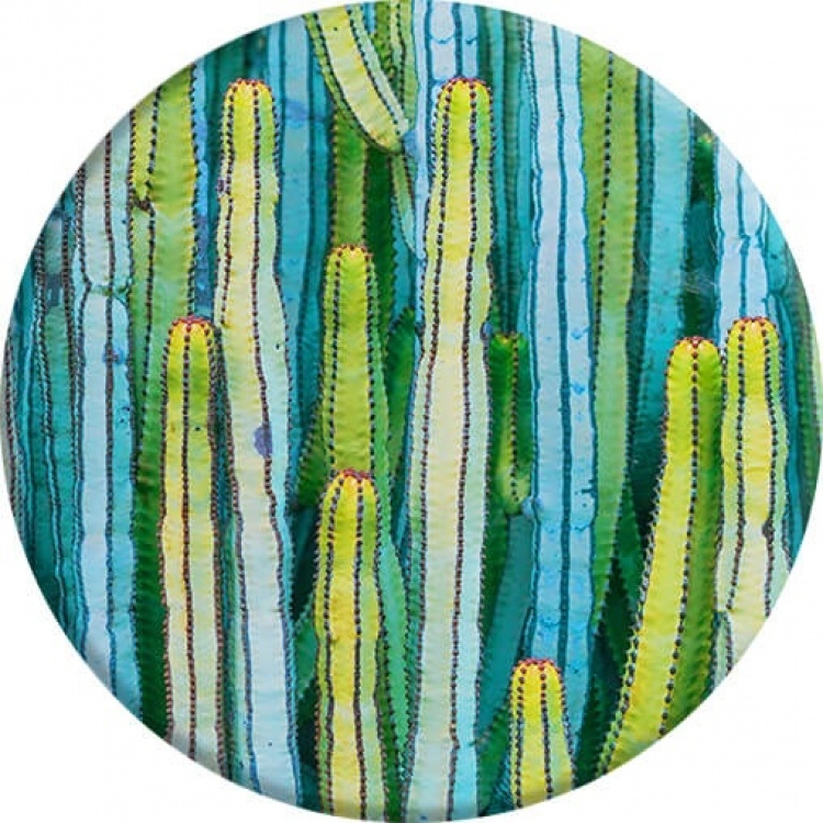PopSockets Cactus Patch Pidike/Jalusta