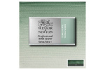 Prof Water Colour Pan/W Terre Verte 637