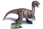 Velociraptor 65x18x38cm