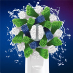Oral B Borsthuvud Cross Action 3+3+3s