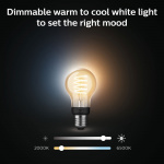 Philips Hue White Ambiance Filament E2
