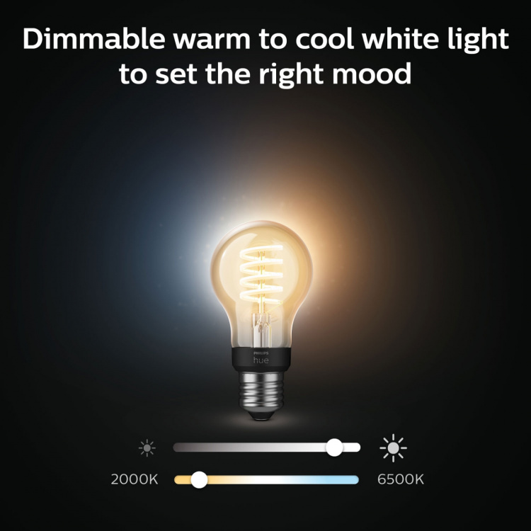 Philips Hue White Ambiance Filament E2