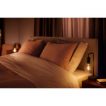 Philips Hue White Ambiance Filament E2