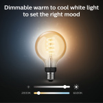 Philips Hue White Ambiance Filament E2