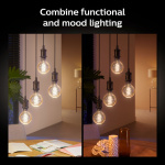 Philips Hue White Ambiance Filament E2