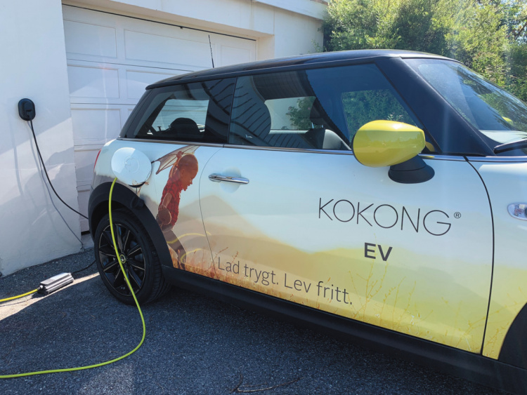 Kokong Ev Zen laturi, Fjordin sininen Kokong Ev Zen laturi, Fjordin sininen