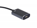 iiglo USB-C MiniDP-sovitin