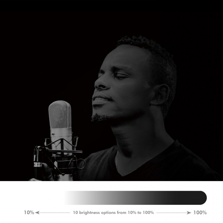 Ring light Hjärtform RGB med b