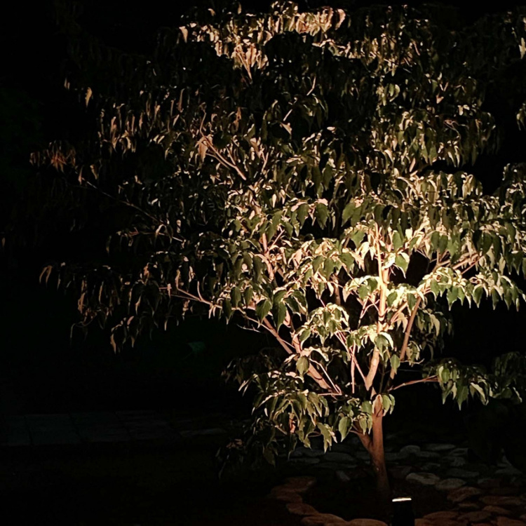 Nova Trädgårdsspot Varmt till