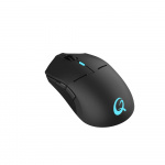 QPAD Gaming Mouse DX900