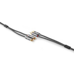 Nedis Stereoäänikaapeli | 2x RCA uros | 2x RCA uros | Kullattu | 5.00 m | Pyöreä | Gun Metal Harmaa / Harmaa | Laatikko kannella ja ikkunalla