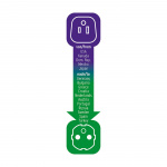 brennenstuhl Matka-adapteri USA / Japani ja Eurooppa maadoitettu