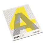 ESSELTE Kollegieblock A4 100 ark Rutat