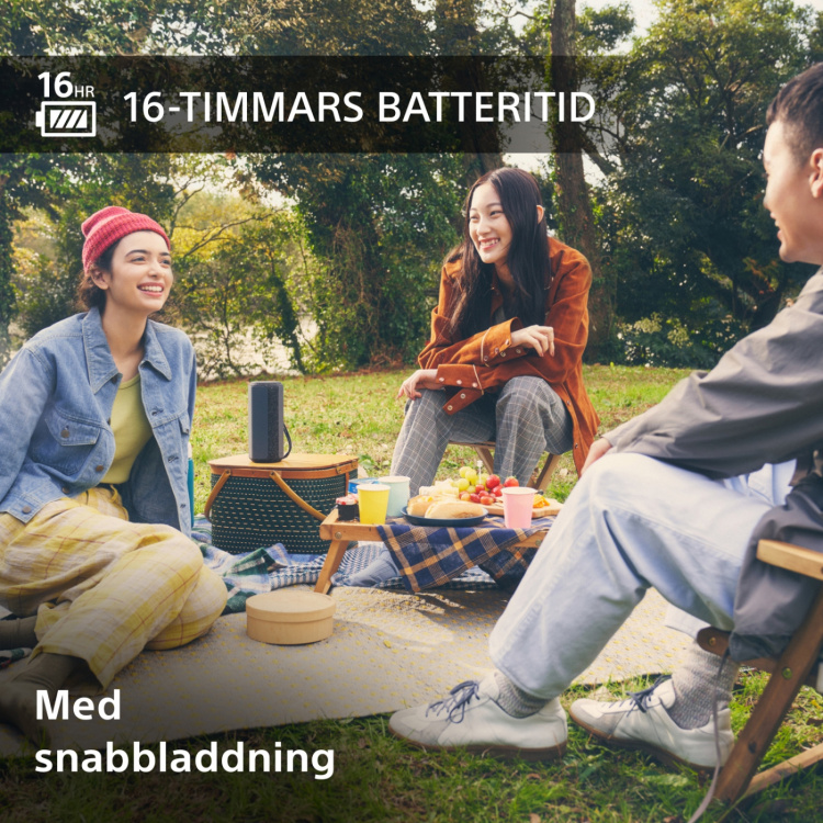 Sony XE-200 Trådlös portabel högtalare Svart