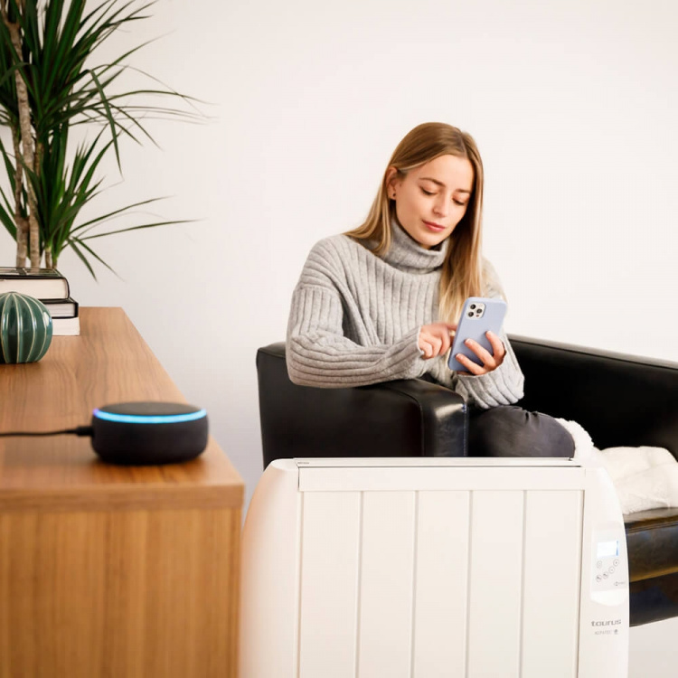 Taurus Patteri WIFI Malbork Connect 1500