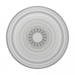 PopSockets PopGrip Plant Faded Stone PopSockets PopGrip Plant Faded Stone