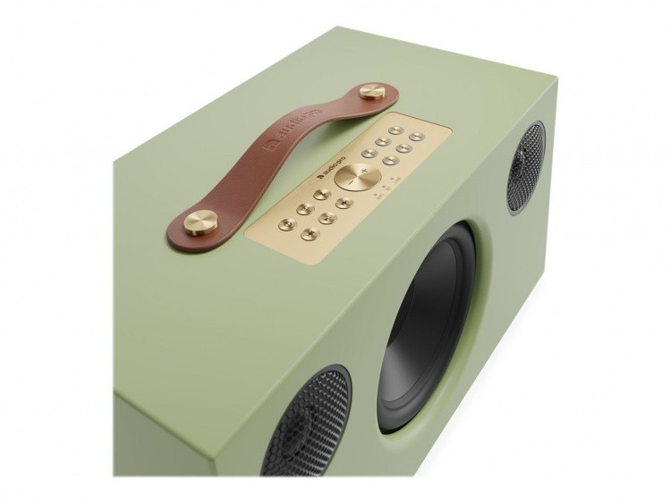 Audio Pro C10 MkII Sage Green