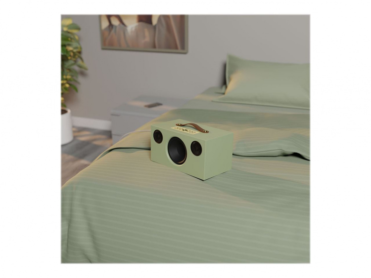 Audio Pro C10 MkII Sage Green