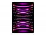 Apple 11-inch iPad Pro Wi-Fi 2TB - Space Grey