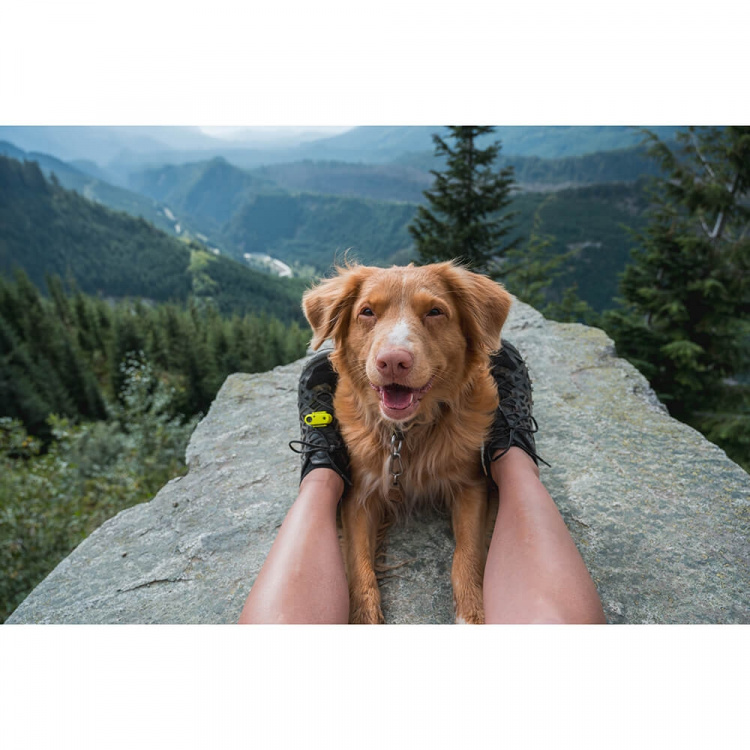 TICKLESS Tick Repellent Active Green