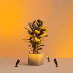 WiZ WiFi Smart LED Spotlight Färg + Varm-kallvit 12V Utbyggnad